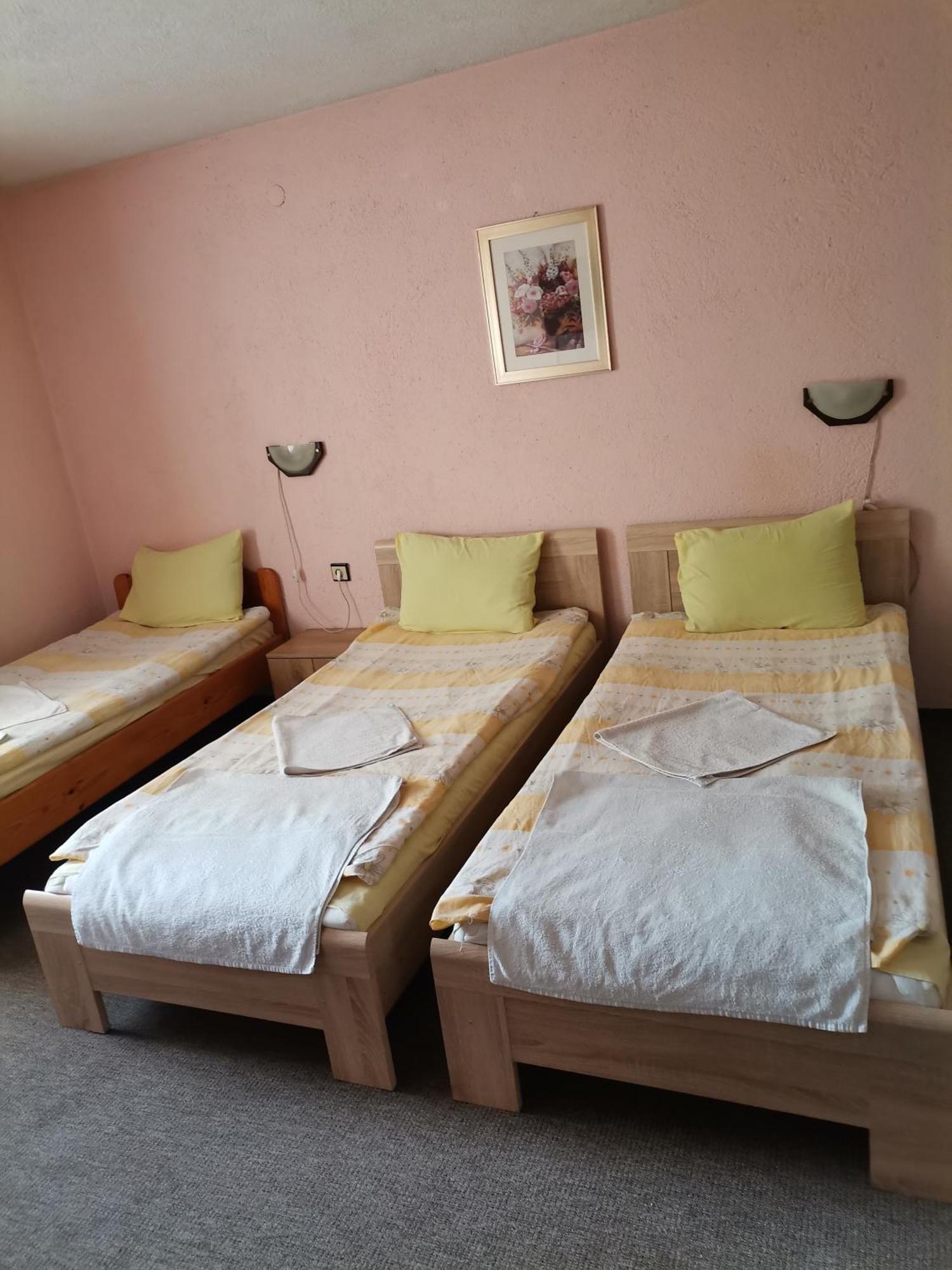 Family Hotel Santo Bansko Luaran gambar