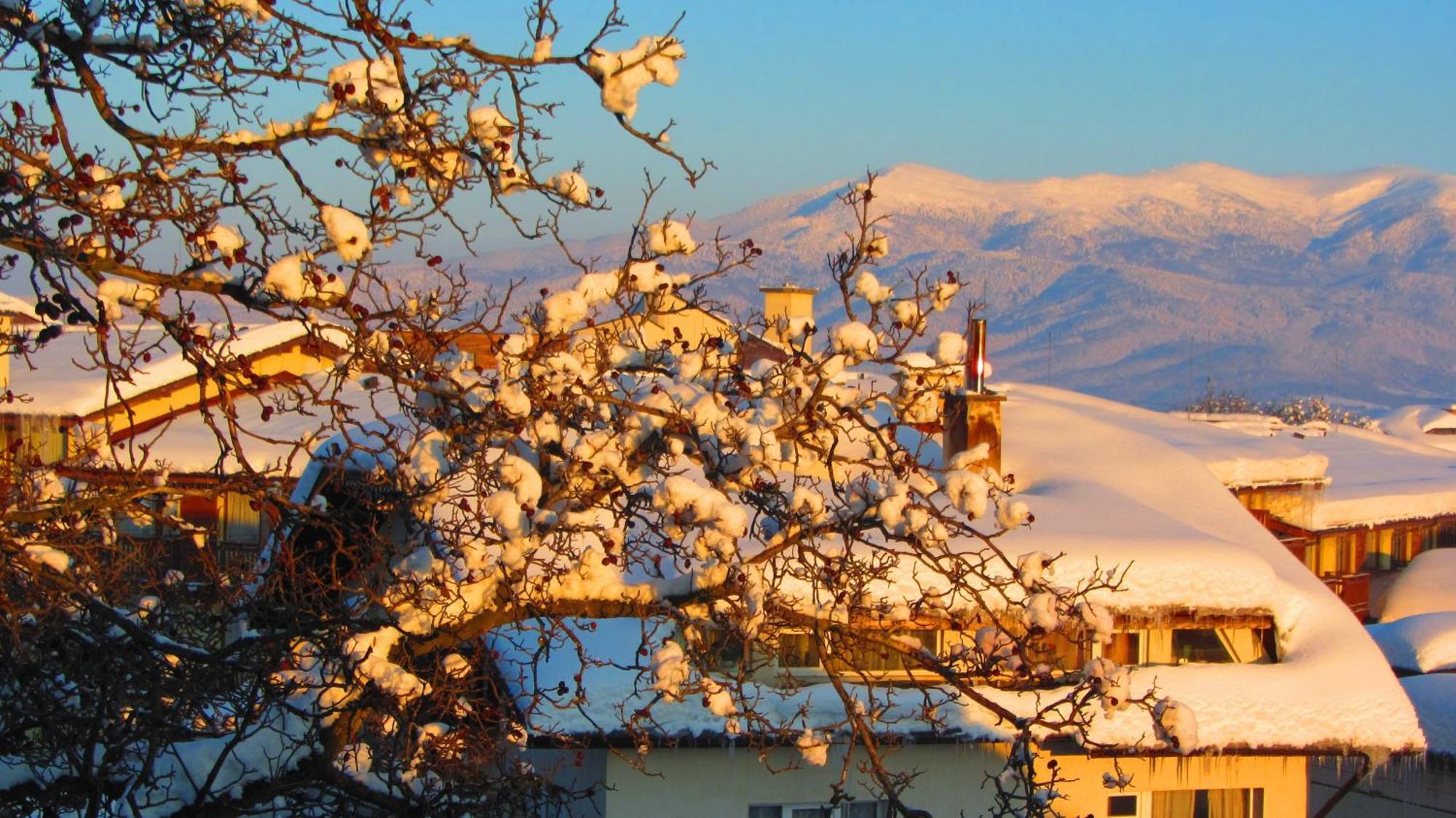 Family Hotel Santo Bansko Luaran gambar