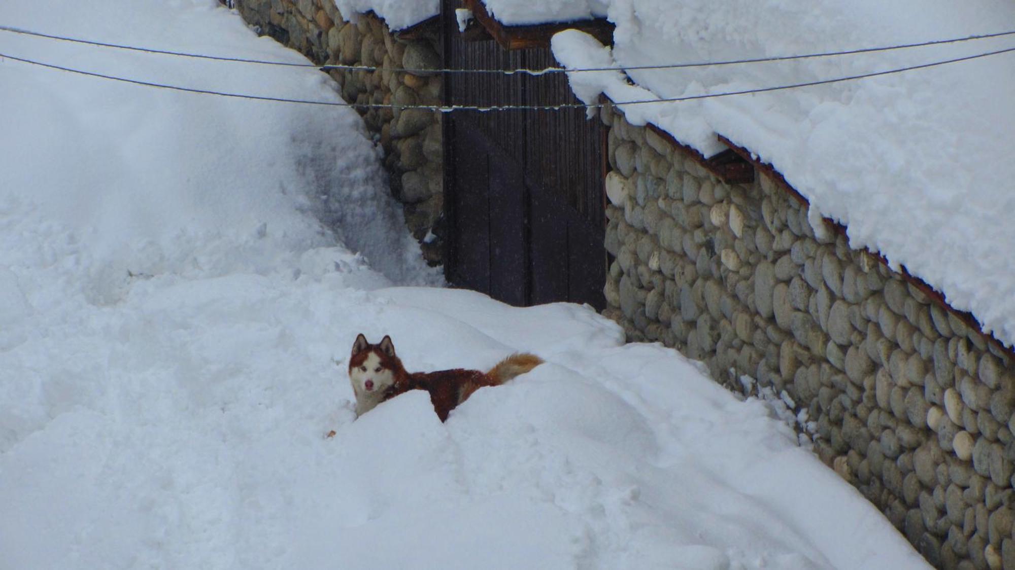 Family Hotel Santo Bansko Luaran gambar